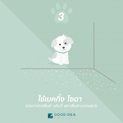 เคล็ด (ไม่) ลับ !! ช่วยกำจัดกลิ่น “สุนัข” ในบ้านให้หมดไป - Goodideaoutlet